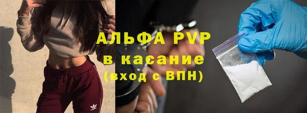 индика Дубна