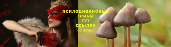 экстази Армянск