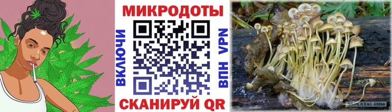 как найти наркотики Калтан ссылка на мегу онион Галлюциногенные грибы ЛСД